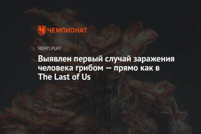 Выявлен первый случай заражения человека грибом — прямо как в The Last of Us