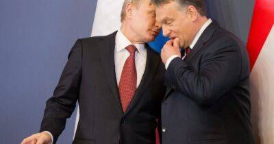 Венгрия — недружественная страна: Россия огорчила Орбана
