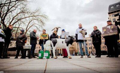 Навицкас: ЕК пока не будет выделять помощь литовским производителям молока