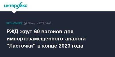РЖД ждут 60 вагонов для импортозамещенного аналога "Ласточки" в конце 2023 года