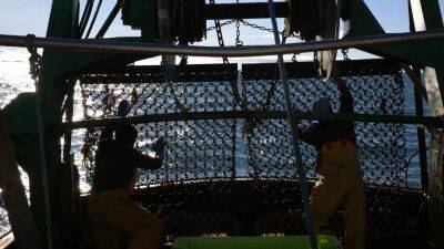 Французские рыбаки блокируют порт из-за запрета на ловлю рыбы