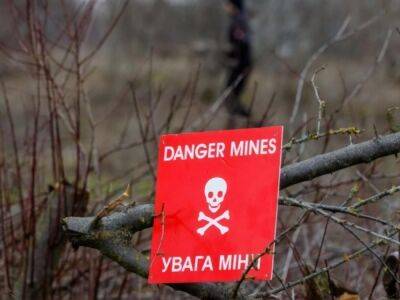В Херсонской области взорвалась оставлення россиянами мина, есть погибший и раненый – ОВА