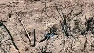 ССО показали взрывное видео уничтожения вражеских мин