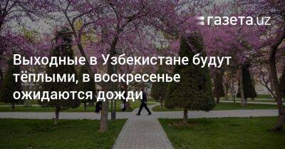 Выходные в Узбекистане будут тёплыми, в воскресенье ожидаются дожди