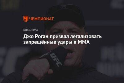 Джо Роган призвал легализовать запрещённые удары в MMA