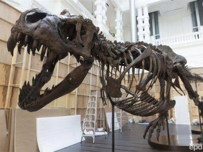 У тираннозавров могли быть губы. Ученые считают, что представления людей об облике этих вымерших хищников устарели