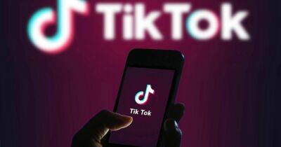 В НАТО запретили сотрудникам использование TikTok, — CNN - focus.ua - Норвегия - Китай - США - Украина - Англия - Запрет
