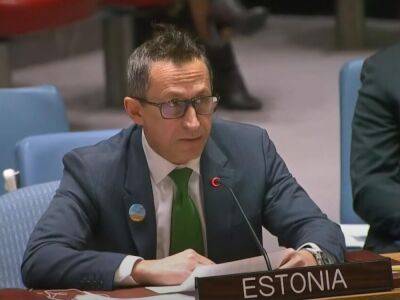 Председательство России в Совбезе ООН позорно и унизительно – постпред Эстонии