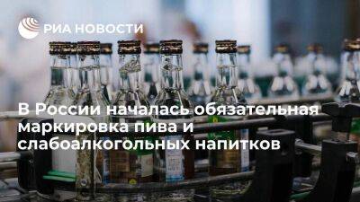 В России началась обязательная маркировка пива и слабоалкогольных напитков в кегах