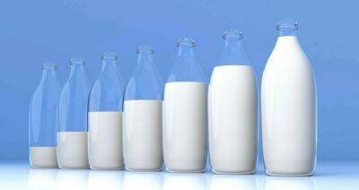 В Минсельхозпроде рассказали, за счет чего развивается молочная отрасль Беларуси