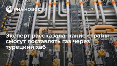 Попова: поставлять газ через турецкий хаб смогут Россия, Иран, США и другие страны