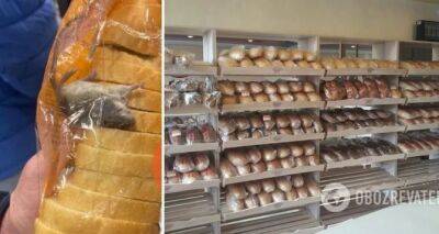 В супермаркете АТБ покупатели должны быть очень внимательны: в упаковке с хлебом нашли мертвую мышь. ФОТО