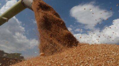 В рф заявили о готовности продлить «зерновую сделку»