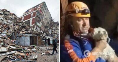 Землетрясение в Турции – спасатели достали из-под завалов собаку через 25 дней после землетрясения – видео