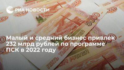 Малый и средний бизнес привлек 232 млрд рублей по программе ПСК в 2022 году