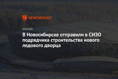 В Новосибирске отправили в СИЗО подрядчика строительства нового ледового дворца