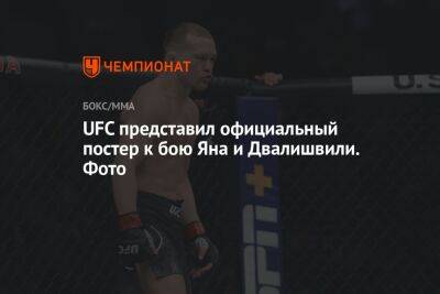 UFC представил официальный постер к бою Яна и Двалишвили. Фото