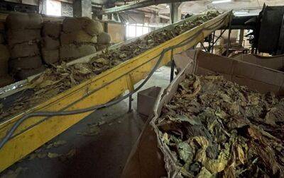На табачной фабрике во Львовской области проходят обыски
