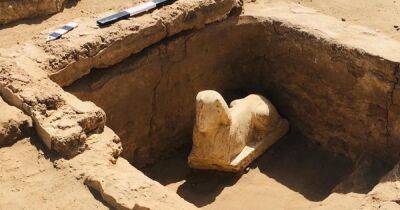 С лицом императора Клавдия. В Египте археологи обнаружили необычную статую сфинкса (фото)