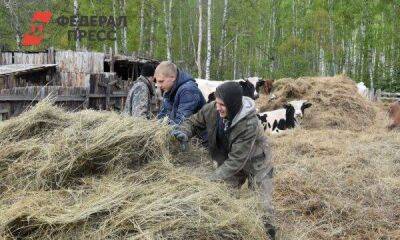 Начинающие красноярские аграрии могут рассчитывать на грант до 8 миллионов рублей