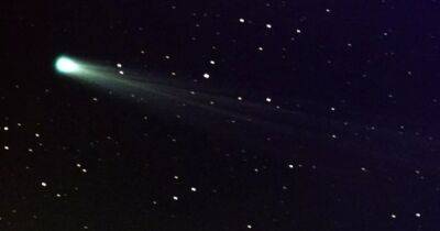 Прилетела впервые за 80 тысяч лет. Недавно открытая комета может затмить собой звезды на небе