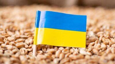 В феврале 2023 года Украина экспортировала самый большой объем зерна (инфографика)