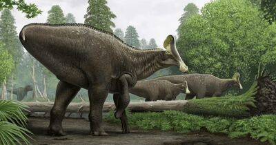 Обнаружены вены динозавра, жившего 80 млн лет назад: они до сих пор заполнены кровью - focus.ua - Украина - шт.Северная Каролина - Находка