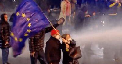 "Войдет в историю": сеть поразило видео женщины в Тбилиси с флагом ЕС против водомета