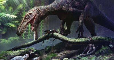 Эволюционировали трижды. Исследователи обнаружили структуру костей динозавров, которая позволяла им быть очень большими