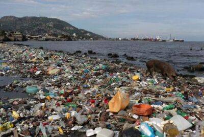 Уровень пластика в океанах к 2040 году может утроиться - исследование