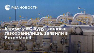Вице-президент ExxonMobil Кларк: холода могут поставить под угрозу энергобезопасность ЕС