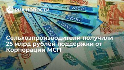 Сельхозпроизводители получили 25 млрд рублей поддержки от Корпорации МСП