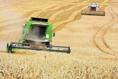 В среду зерновые в США снизились в цене