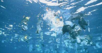 Океан задыхается. К 2040 году в воде окажется более 500 триллионов пластиковых кусочков - focus.ua - Украина - Экология