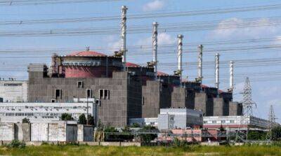В МАГАТЭ отреагировали на очередное обесточивание Запорожской АЭС