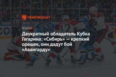 Двукратный обладатель Кубка Гагарина: «Сибирь» — крепкий орешек, они дадут бой «Авангарду»