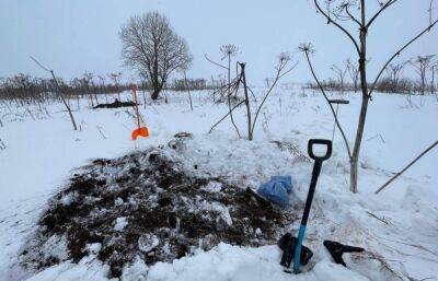 В Ржевском районе поисковики нашли останки двух неизвестных красноармейцев