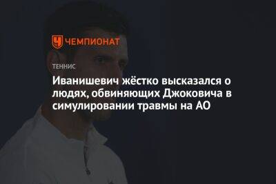 Иванишевич жёстко высказался о людях, обвиняющих Джоковича в симулировании травмы на AO