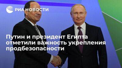 Путин и президент Египта ас-Сиси отметили важность укрепления продбезопасности