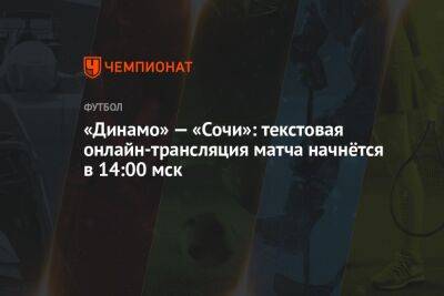 «Динамо» — «Сочи»: текстовая онлайн-трансляция матча начнётся в 14:00 мск