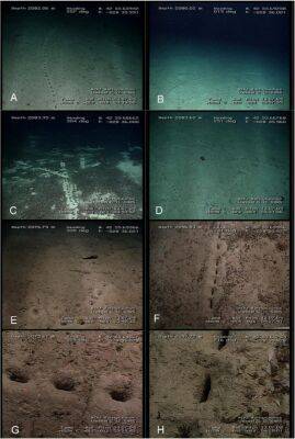 На глубине более 2 км в Атлантическом океане нашли ровные ряды отверстий