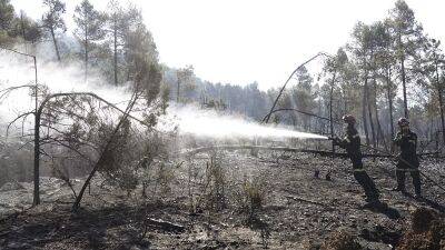"Пожарный терроризм" объявили главной причиной лесных пожаров на севере Испании