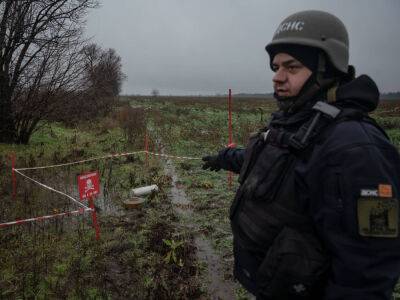 Житель Харьковской области подорвался на взрывчатке в собственном дворе – глава обладминистрации