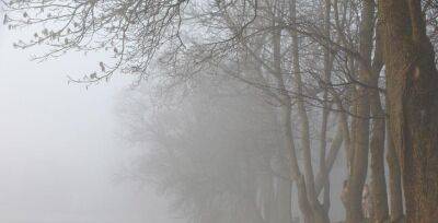 Оранжевый уровень опасности из-за тумана объявлен в Беларуси на 2 апреля