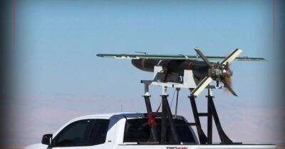 Может лететь 450 км: в Иране испытали новый дрон-камикадзе (фото)
