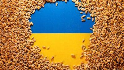 Украина останавливает экспорт зерна в Польшу