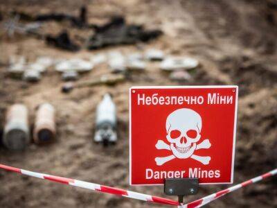 В Киевской области продолжают ликвидировать взрывоопасные предметы, могут быть слышны взрывы