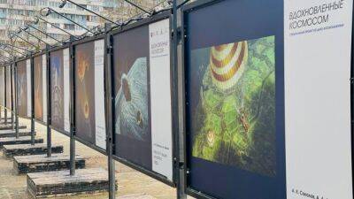 По-настоящему космическая фотовыставка открылась в Лианозовском парке