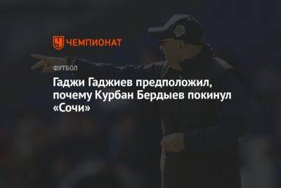 Гаджи Гаджиев предположил, почему Курбан Бердыев покинул «Сочи»