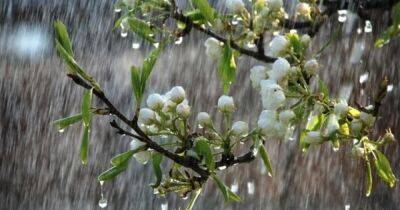 Погода в Украине на 11 апреля: На востоке и юге дожди, местами сильный ветер (КАРТА)